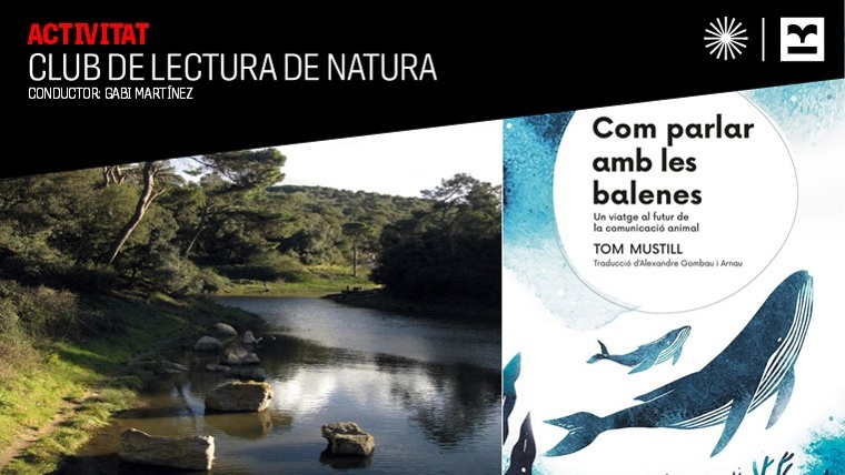 Nature Reading Space: How to Talk to Whales by Tom Musti