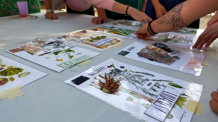 Taller: Coneixem les llavors i fem planter