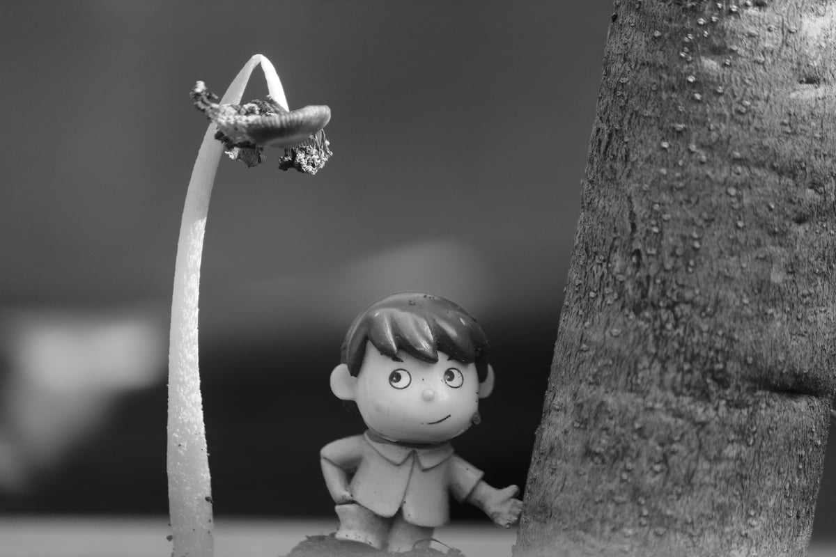 Projecció: "Peixet el petit aventurer"