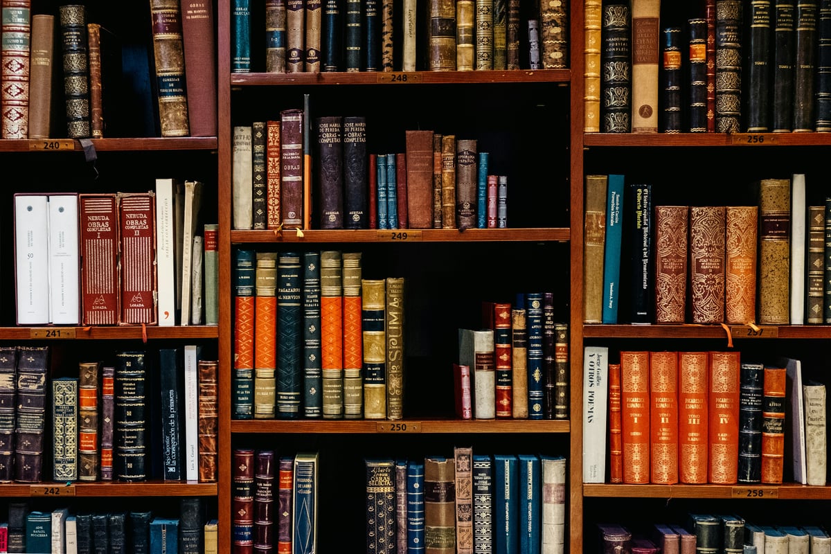 Reading Club "Lletra lligada": Book "Wilt" by Tom Sharpe